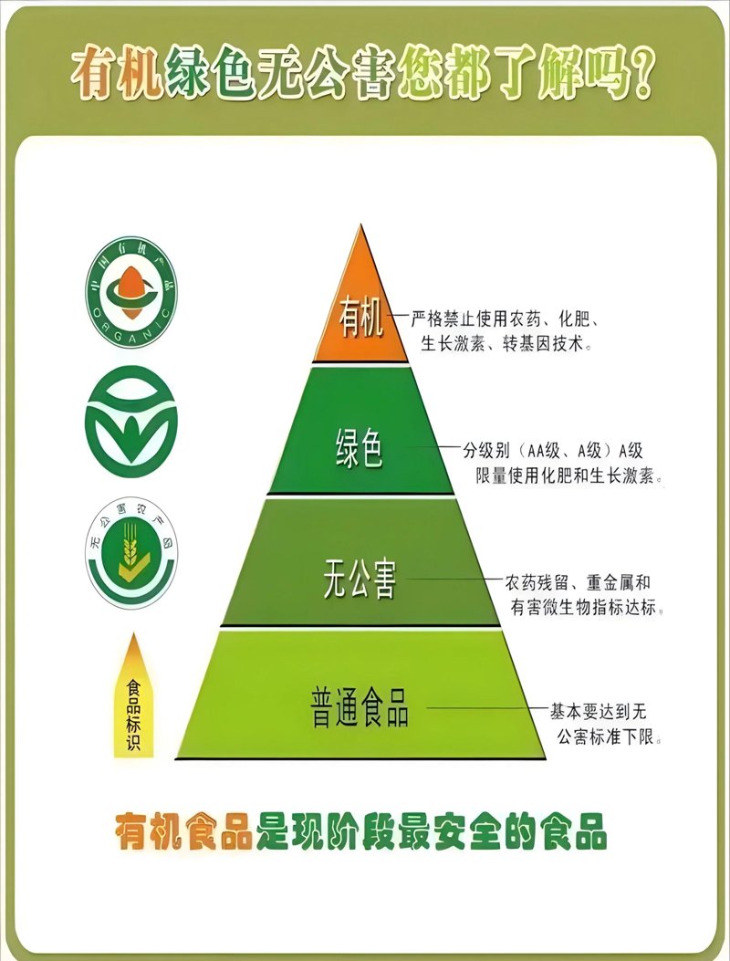 大理公共卫生监测：提升居民健康的有力保障