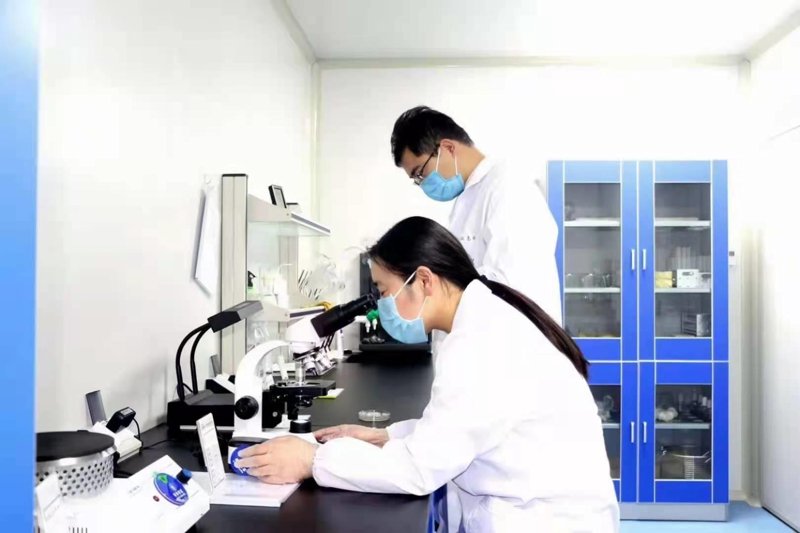 卫生执法大队的职责范围是什么？让我们一起走进大理卫生监督信息网，了解这些专业人员的具体任务。