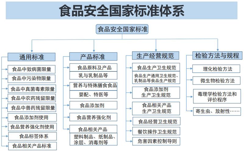 健康服务与管理就业前景如何？让我们一起探索。